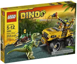 Raptor Chase