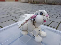 Pooping White Rabbit