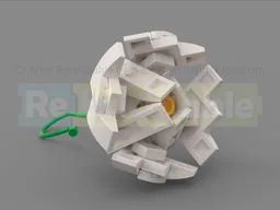 White Flower