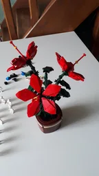 Hibiscus (BT010)