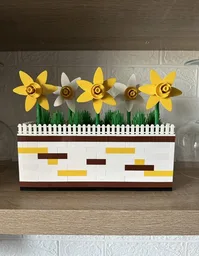 Daffodil Window Box
