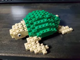 Sea Turtle