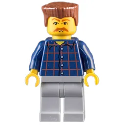 Man, Dark Blue Plaid Shirt, Light Bluish Gray Legs, Reddish Brown Hair, Moustache