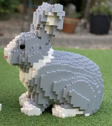 Large Rabbit