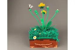 Dandelion