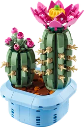Flowering Cactus