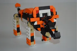 Triceratops