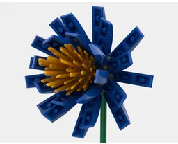 Blue Flowers