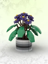 African Violet (BT004)