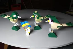 31121 Birds