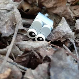 Mouse