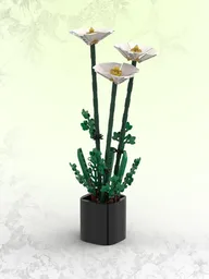 White Poppies (BT017)