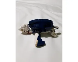 Sea Turtle and Lobster