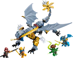 Ninja Dragon Riyu's Battle