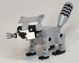 Raccoon