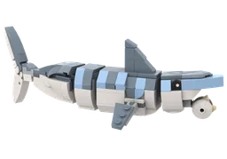 Helicoprion
