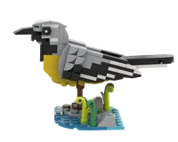 Grey Wagtail