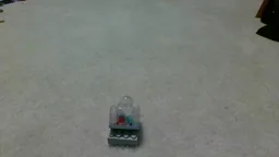 Mini Snowglobe