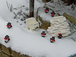 Polar Bear