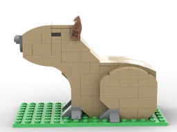 Capybara Dreaming