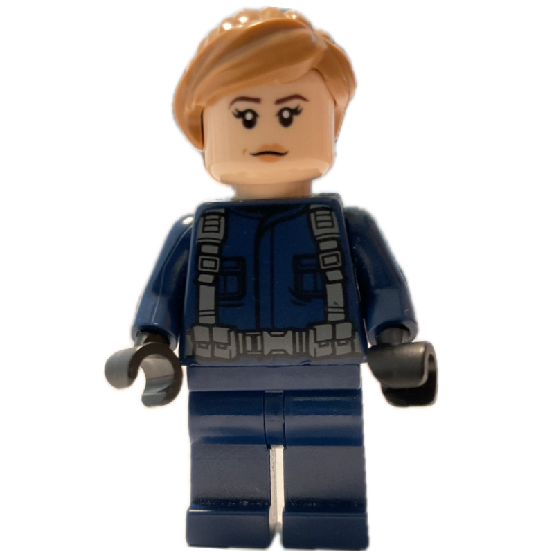 Lego Guard