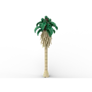 Palm Tree Bundle
