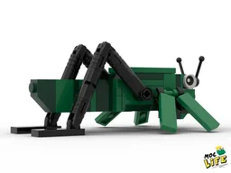 Grasshopper