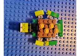 Turtle Despacito