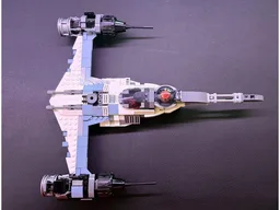 N1