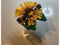 Sunflower Falcon