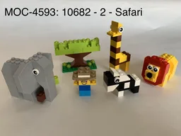10682 - 2 - Safari