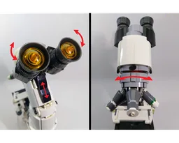 Compound Microscope