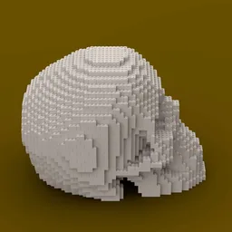 Skull