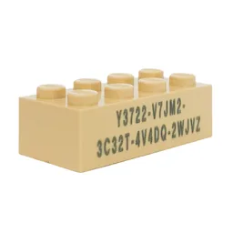 Brick 2 x 4 with Minecraft Code Print / Tan