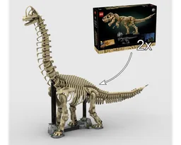 Brachiosaurus fossil