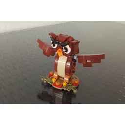 40417 Owl