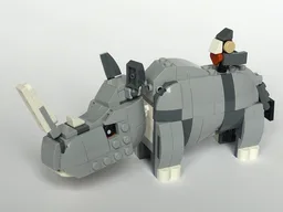 31163: Rhino