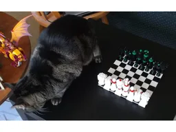 Small chess set