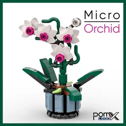 Micro Orchid