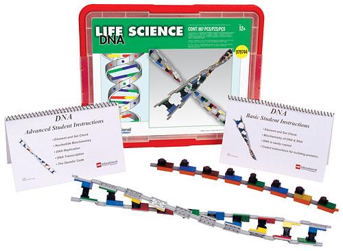 Lego DNA Student Set