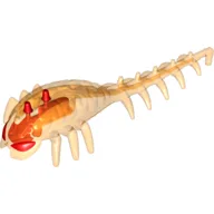 Large Figure Head / Brain with Red Centre / Trans-Orange