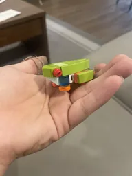 Red Eye Tree Frog
