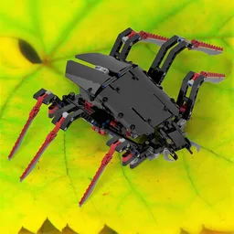Beetle