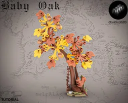 Baby Oak