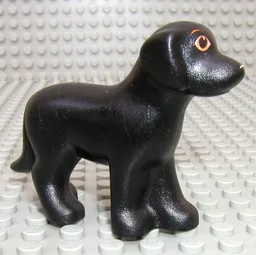 Animal, Dog, Standing with Eyes and White Nose Print / Black