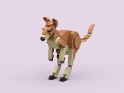 Red Kangaroo