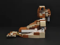 31150 Walrus