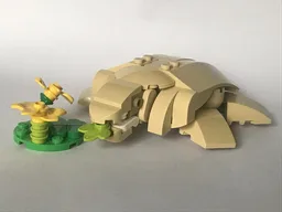 Hungry Turtle