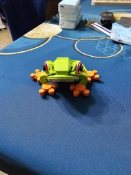 Tree Frog