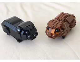 Guinea pig friends